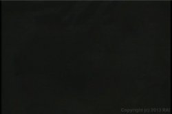 Captura de 'Video Adventures of Peeping Tom 11' nº 7