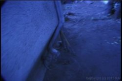 Captura de 'Video Adventures of Peeping Tom 11' nº 10