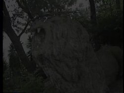 'The Savage' screenshot nº 8