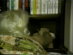 'Classic Seka' screenshot nº 75
