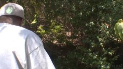 'Lisa Ann: Big Tit Milf's Crave Thick Black Cock' screenshot nº 113