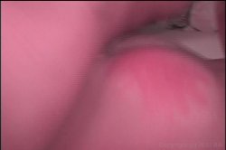 Captura de 'So Fucking Innocent 3' nº 40