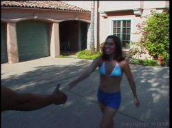 'Hot Bods & Tail Pipe Vol.25' screenshot nº 3
