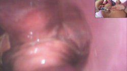 'Big Butt Anal Threesomes' screenshot nº 49