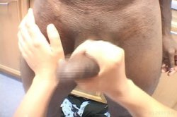 'Home Made Handjobs 2' screenshot nº 88