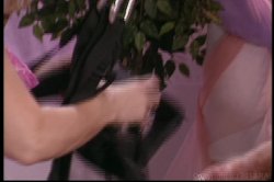 Captura de 'Nina Hartley's Advanced Guide to Sex Toys' nº 44