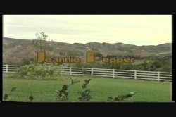 Captura de 'Back to Nature' nº 1