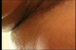 'Global Warming Debutantes 7' screenshot nº 116