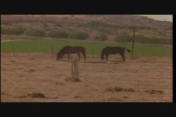 'Hot on Her Tail' screenshot nº 1