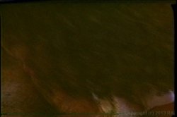 'Paris Burning' screenshot nº 93