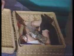 Captura de 'Screamer' nº 36