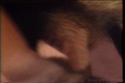 'Raunch 8' screenshot nº 117