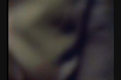 Captura de 'Business As Usual' nº 48