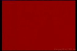 'Red Vibe Diaries 3' screenshot nº 60