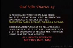 'Red Vibe Diaries 3' screenshot nº 1