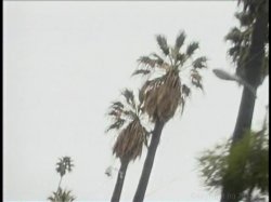 'Tinseltown' screenshot nº 4