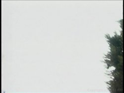 'Tinseltown' screenshot nº 3