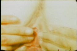 Captura de 'Cock Teasers' nº 79