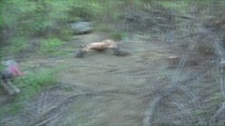 'Fetish Orgies' screenshot nº 93
