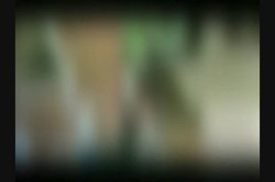 'Picante Pussy' screenshot nº 106
