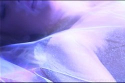 'Playgirl Private Pleasures' screenshot nº 113