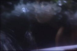 'Playgirl Private Pleasures' screenshot nº 125