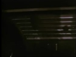 'All American Girls 2 - In Heat' screenshot nº 20