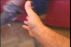 'Rocco's Intimacy 2' screenshot nº 51
