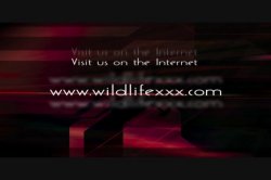 Captura de 'Wildest Sex Ever Vol. 2' nº 135
