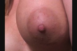 'History Of Black Cock, The' screenshot nº 17