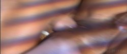 'Black Mayhem' screenshot nº 116