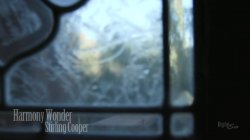 'Newbies 7' screenshot nº 131