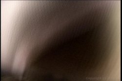 Captura de 'POV Casting Couch 13' nº 107