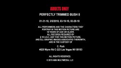 Captura de 'Perfectly Trimmed Bush 8' nº 1