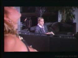 'Hottest Blondes of Classic Porn, The' screenshot nº 2