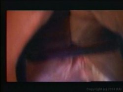 'Hottest Blondes of Classic Porn, The' screenshot nº 24