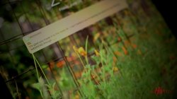 'Rising Tide, The' screenshot nº 28