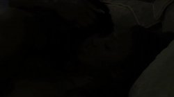 'Lesbian Beauties Vol. 7: All Black Beauties' screenshot nº 137