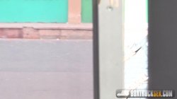 Captura de 'Box Truck Sex: Street Sex 2' nº 116