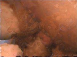 'Sex Trek - Charly XXX' screenshot nº 130
