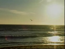 'Infidelity' screenshot nº 137