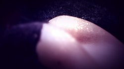 Captura de 'Shalina 4 You' nº 2