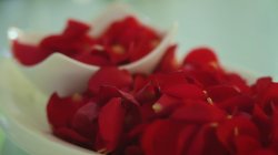 Captura de 'Shalina 4 You' nº 9