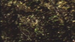 'Erotic Interlude' screenshot nº 10