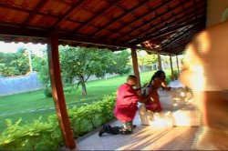 'Horny Big Butt Brazilian Mothers' screenshot nº 5