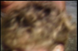 'One Night In Bangkok' screenshot nº 73