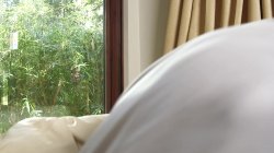 'Beautiful Bald Pussy 5, The' screenshot nº 124