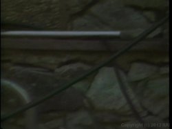 Captura de 'Magic Pool' nº 32
