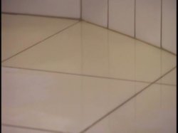Captura de 'Golden Girls 5' nº 14