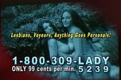 'Bald Beavers 3' screenshot nº 4